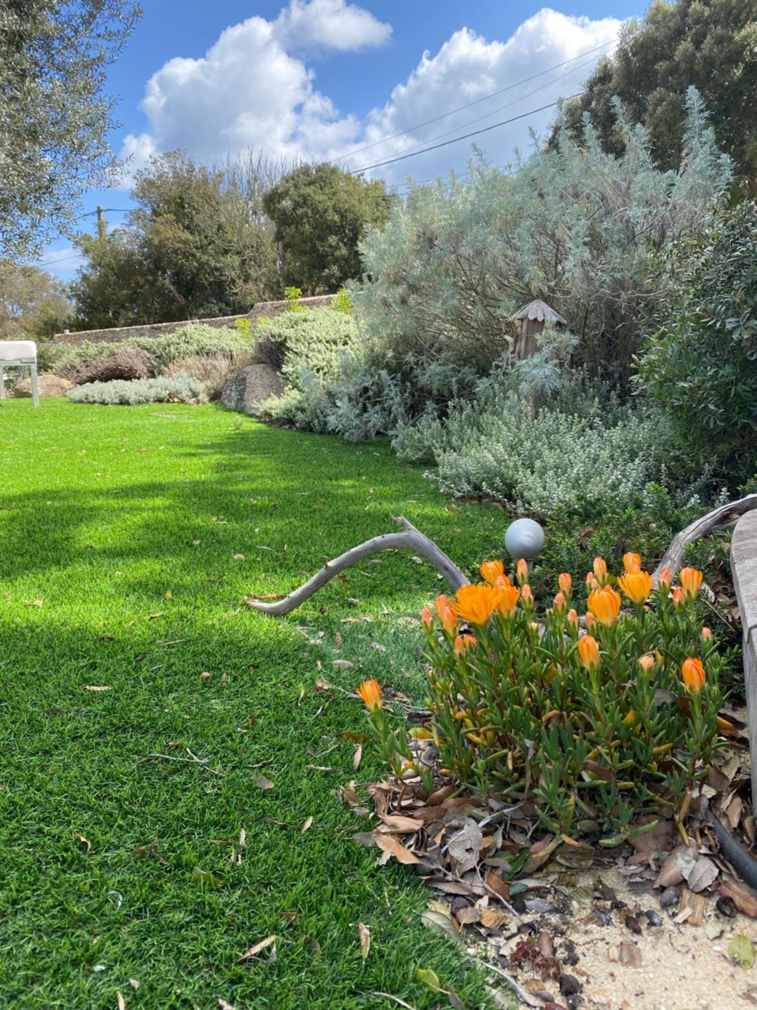 Homestay Casa Felicia Bonifacio (Corsica)