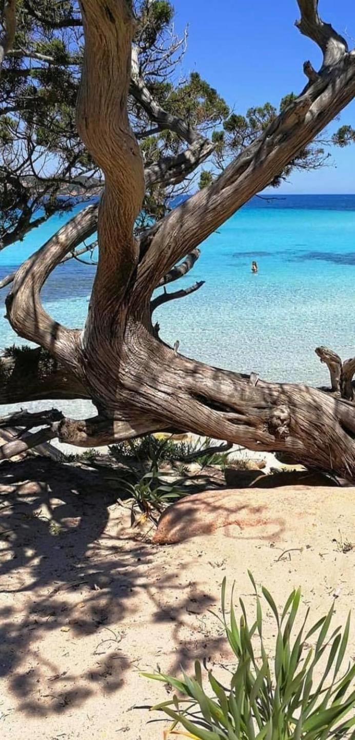 Casa Felicia Bonifacio (Corsica)